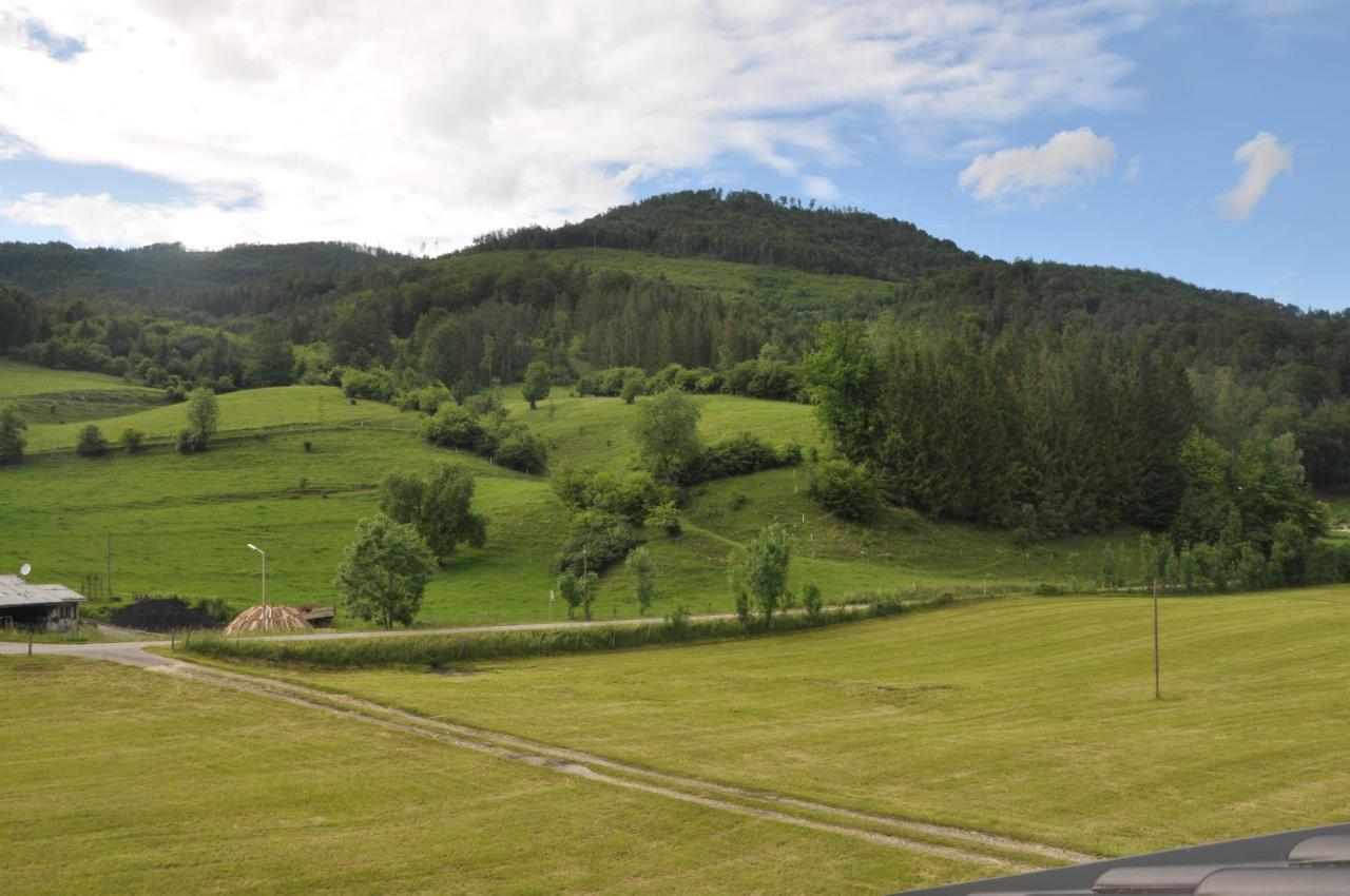 Mostheuriger Steyrdurchbruchalm Leonstein Bagian luar foto