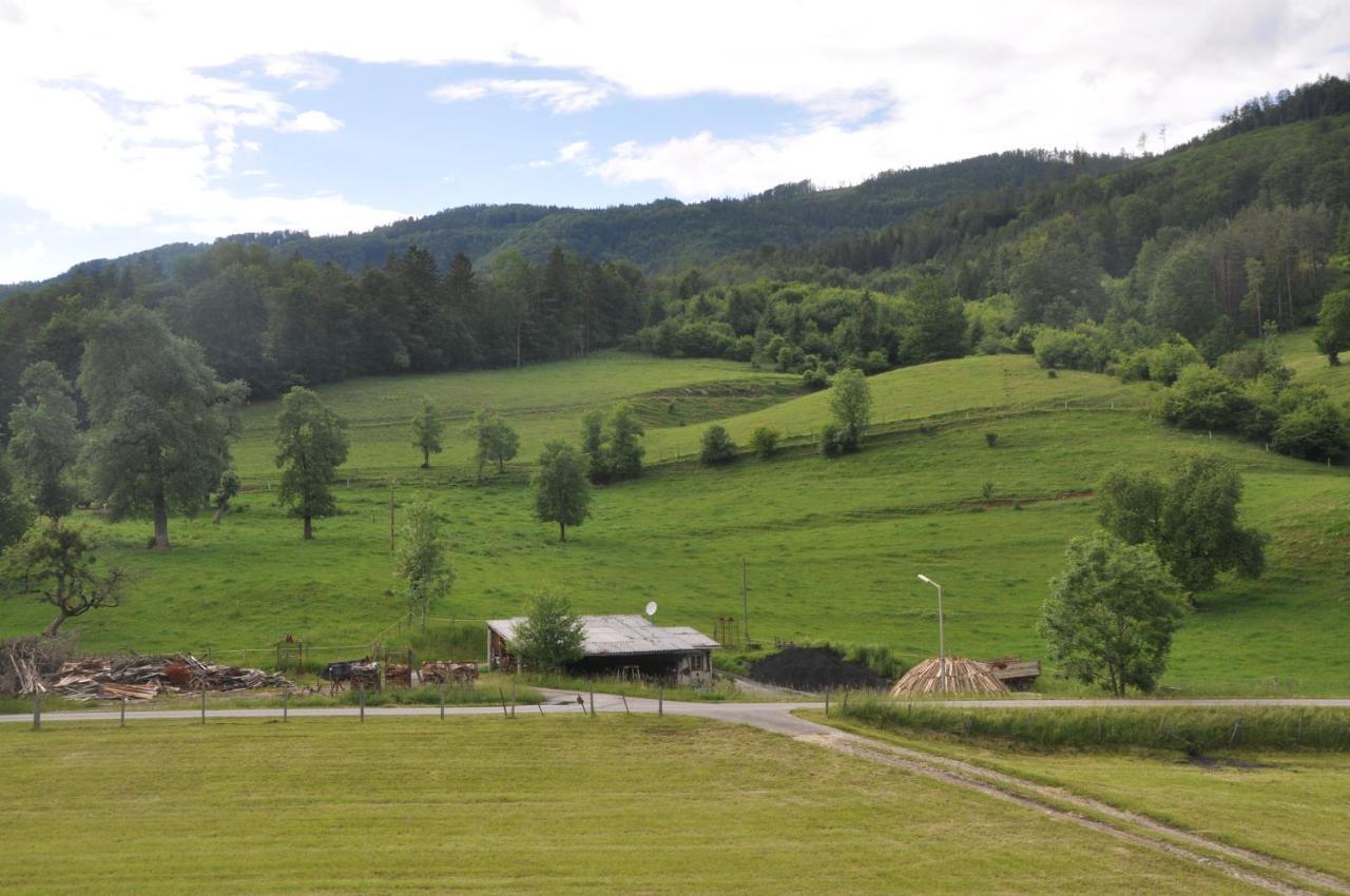 Mostheuriger Steyrdurchbruchalm Leonstein Bagian luar foto