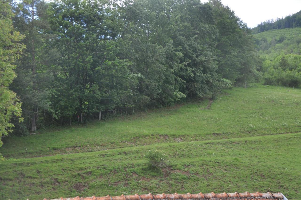 Mostheuriger Steyrdurchbruchalm Leonstein Bagian luar foto