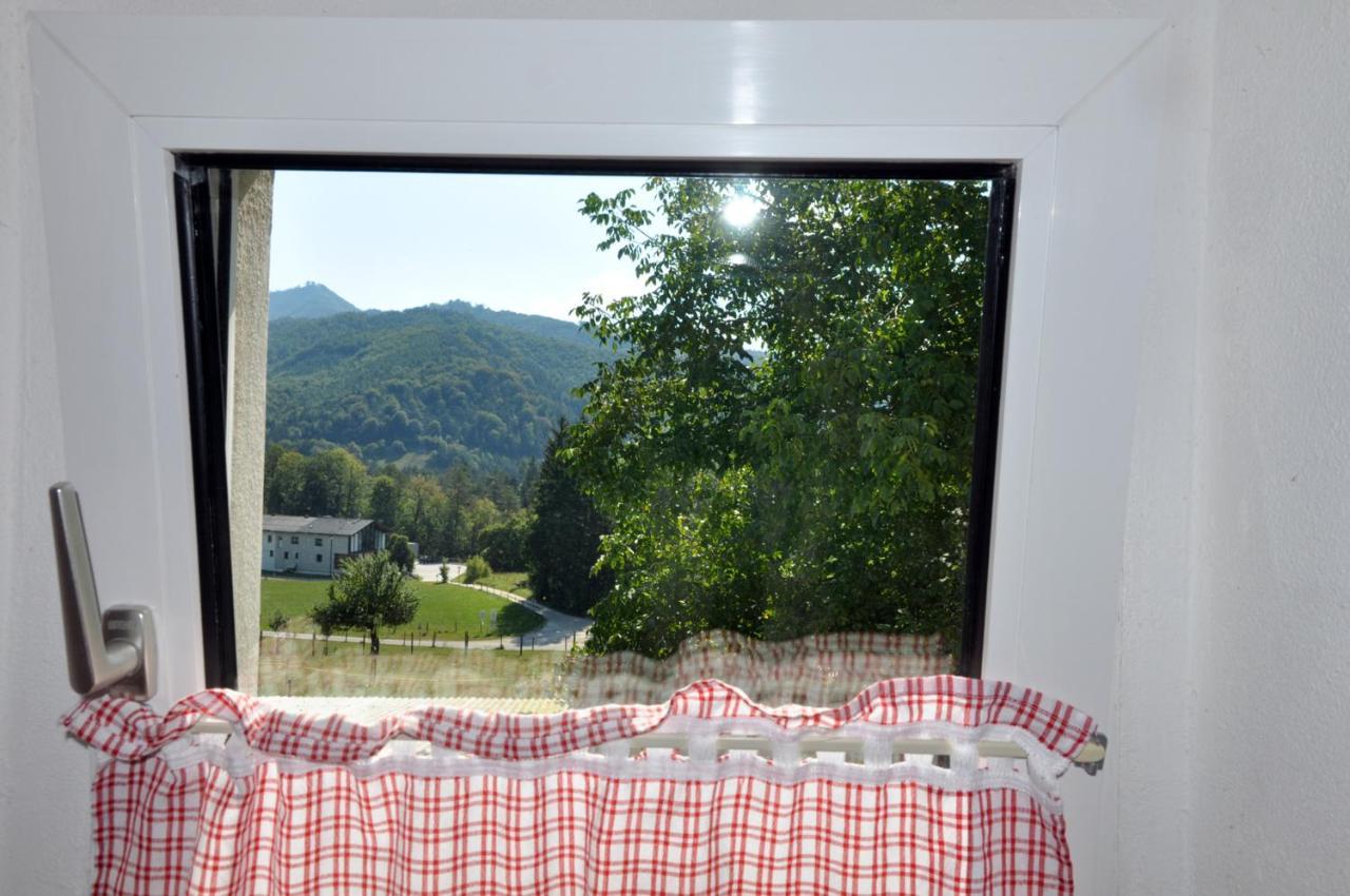 Mostheuriger Steyrdurchbruchalm Leonstein Bagian luar foto