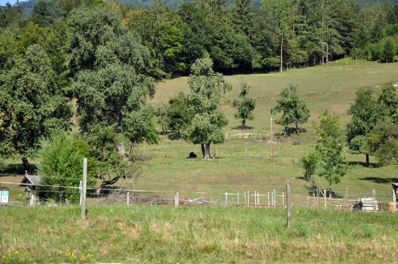 Mostheuriger Steyrdurchbruchalm Leonstein Bagian luar foto